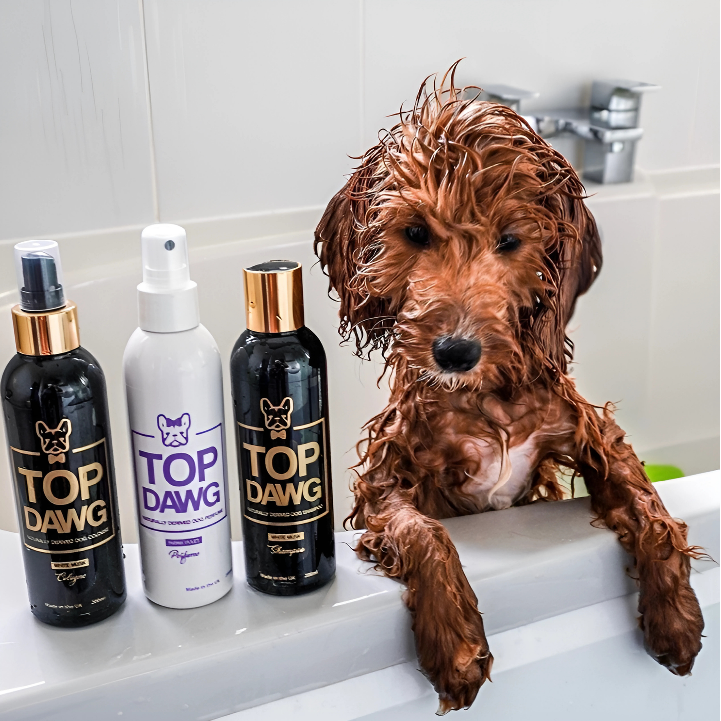 TOP DAWG / Shampoo & Conditioner - White musk