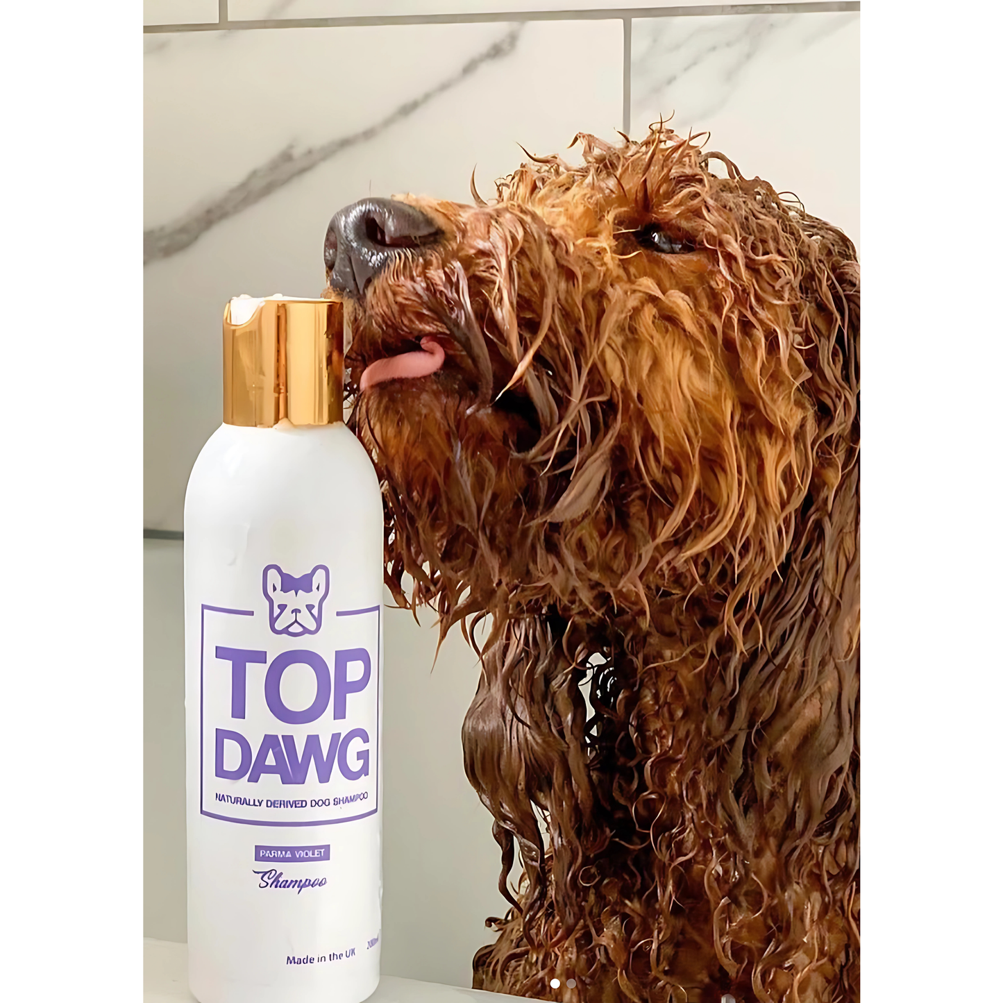 TOP DAWG / Shampoo & Conditioner - Parma Violet