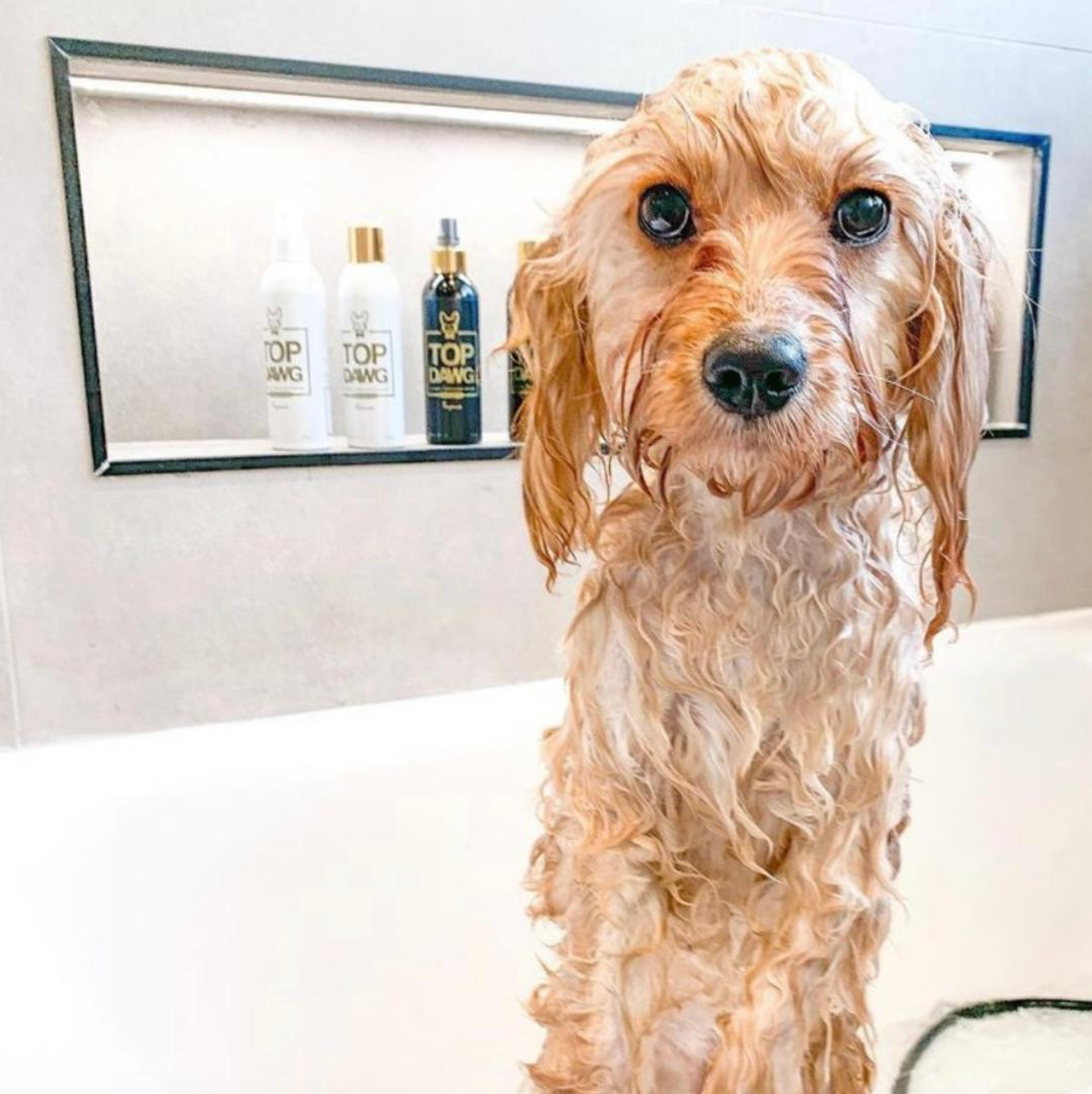 TOP DAWG / Fragrance Spray - Honeysuckle